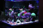 [TodoMarino.com] Mi nuevo nano de 80l