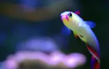 [TodoMarino.com] Mi nuevo nano de 80l