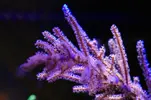 [TodoMarino.com] Mi nuevo nano de 80l