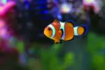 [TodoMarino.com] Mi nuevo nano de 80l
