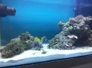 [TodoMarino.com] Steganos´s Reef Project