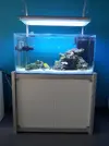 [TodoMarino.com] Steganos´s Reef Project