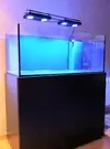 [TodoMarino.com] Kambara Reef 360 L