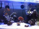 [TodoMarino.com] mi nano de 36 litros