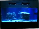[TodoMarino.com] Kambara Reef 360 L