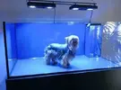 [TodoMarino.com] Kambara Reef 360 L