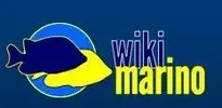 [TodoMarino.com] Nace Wikimarino.com