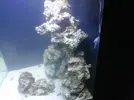 [TodoMarino.com] acuario sara