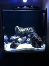 [TodoMarino.com] Blenny reef 80L