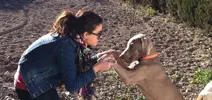 [TodoMarino.com] Los más perros de TodoMarino...