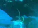 [TodoMarino.com] El acuario de los Buzury