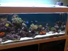 [TodoMarino.com] acuario juanjo3