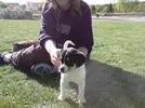 [TodoMarino.com] Los más perros de TodoMarino...