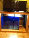 [TodoMarino.com] Mi Proyecto Magnetireef V. 01