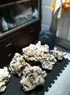 [TodoMarino.com] Mi Proyecto Magnetireef V. 01