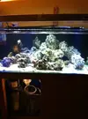 [TodoMarino.com] Mi Proyecto Magnetireef V. 01