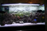 [TodoMarino.com] os presento mi acuario