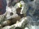 [TodoMarino.com] pico 25L + fotos y dudas
