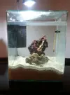 [TodoMarino.com] pico 25L + fotos y dudas