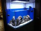 [TodoMarino.com] pantalla casera de leds