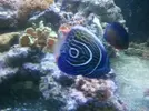 [TodoMarino.com] unas fotillos de mi proyecto cubico....