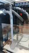 [TodoMarino.com] Pisito Reef. Poco a poco, ahora sí