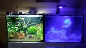 [TodoMarino.com] Nuevo proyecto de 300L