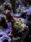 [TodoMarino.com] Nuevo proyecto