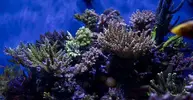 [TodoMarino.com] Nuevo proyecto