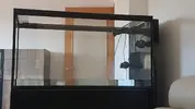 [TodoMarino.com] Pisito Reef. Poco a poco, ahora sí