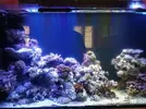 [TodoMarino.com] Cambio urna 150x40x70