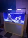 [TodoMarino.com] Ctlite g4