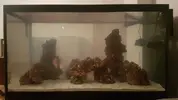 [TodoMarino.com] Pisito Reef. Poco a poco, ahora sí