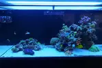 [TodoMarino.com] Ventino's reef