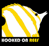 CHELMON HOOKED ON REEF (1).png