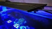 [TodoMarino.com] Vendo Maxspect r420r 320 w - Torredembarra
