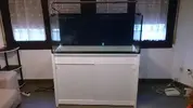 [TodoMarino.com] Vendo acuario SIROCCO 300 litros + mesa + sump - Figueres (Gerona)