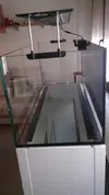 [TodoMarino.com] Vendo acuario SIROCCO 300 litros + mesa + sump - Figueres (Gerona)