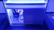 [TodoMarino.com] Vendo acuario SIROCCO 300 litros + mesa + sump - Figueres (Gerona)