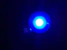 [TodoMarino.com] Vendo led kessil 350 w - Málaga
