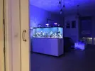 [TodoMarino.com] VENDO 3 CORAL BOX MOON LED PLUS - Madrid