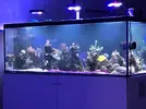 [TodoMarino.com] VENDO 3 CORAL BOX MOON LED PLUS - Madrid