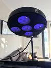 [TodoMarino.com] VENDO 3 CORAL BOX MOON LED PLUS - Madrid