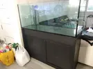 [TodoMarino.com] Dudas en nuevo proyecto.