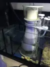 [TodoMarino.com] Ampliación, consejos (540 litros + sump)
