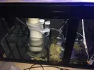 [TodoMarino.com] Ampliación, consejos (540 litros + sump)