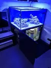 [TodoMarino.com] Vendo acuario completo Barcelona. - Barcelona