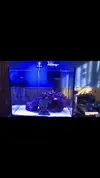 [TodoMarino.com] Presentacion con Nano y muchas dudas