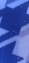 [TodoMarino.com] Ayuda! Muerte de caracoles