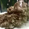 [TodoMarino.com] Nano de 30 litros